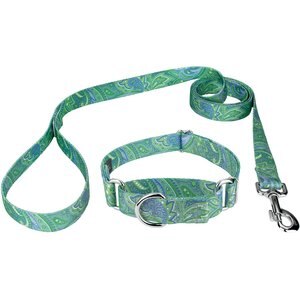 Country Brook Design Paisley Polyester Martingale Dog Collar & Leash, Green, Medium: 15 to 21-in neck, 1-in wide