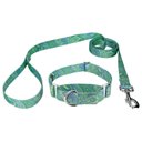 Country Brook Design Paisley Polyester Martingale Dog Collar & Leash, Green, Medium: 15 to 21-in neck, 1-in wide