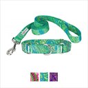 Country Brook Design Paisley Polyester Martingale Dog Collar & Leash, Green, X-Large: 23 to 31-in neck, 1-in wide