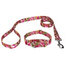 Country Brook Design Paisley Polyester Martingale Dog Collar & Leash, Pink, Medium: 15 to 21-in neck, 1-in wide