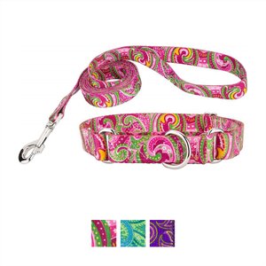 Country Brook Design Paisley Polyester Martingale Dog Collar & Leash, Pink, Large: 18 to 26-in neck, 1-in wide