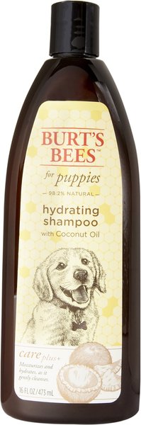 Burt's Bees Care Plus+ Hydrating Coconut Oil Puppy Shampoo, 16-oz bottle slide 1 of 7