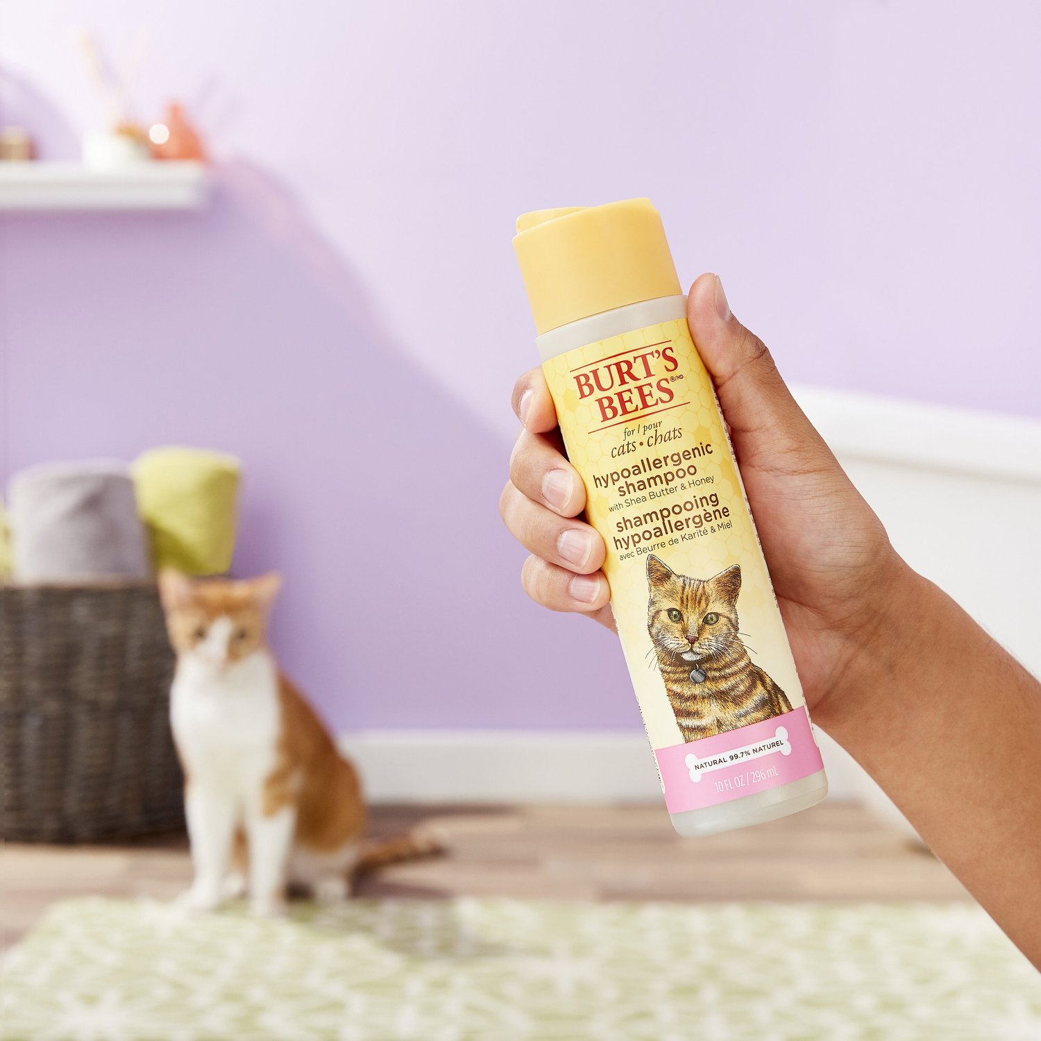 Burt's Bees Hypoallergenic Cat Shampoo, 10oz bottle