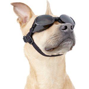 Doggles ILS Dog Goggles, Medium, Metallic Black