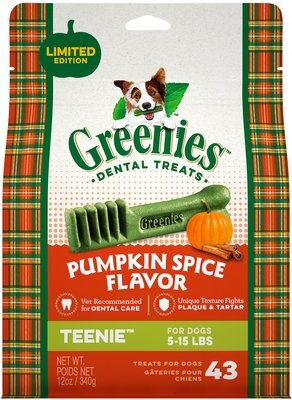 Greenies Pumpkin Spice Flavor Dental Dog Treats, slide 1 of 1