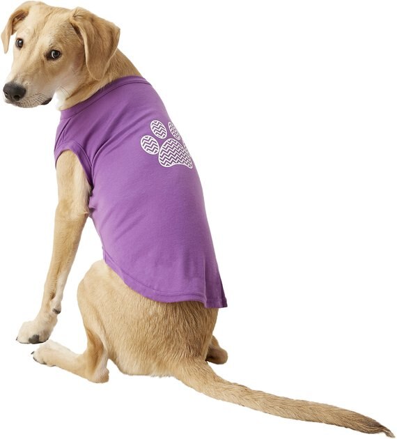 MIRAGE PET PRODUCTS Chevron Paw Dog & Cat Shirt, Purple 