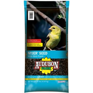 Audubon Park Nyjer Seed Wild Bird Food, 10-lb bag