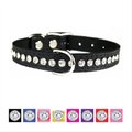 OmniPet Signature Leather Crystal Dog Collar, Black, 10-in