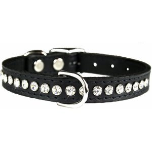 OmniPet Signature Leather Crystal Dog Collar, Black, 16-in