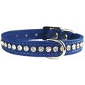 OmniPet Signature Leather Crystal Dog Collar, Blue, 14-in