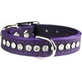 OmniPet Signature Leather Crystal Dog Collar, Purple, 14-in