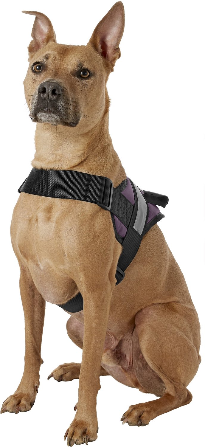 HDP Big Dog No Pull Dog Harness, Purple, Large - Chewy.com