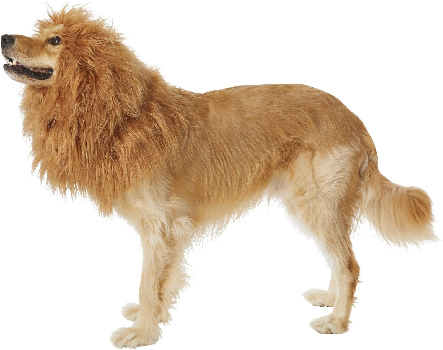 Pet Krewe Big Dog Lion Mane