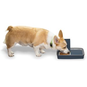 PetSafe Digital 2-Meal Automatic Dog & Cat Feeder