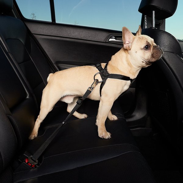 Hdp Car Dog Harness Safety Seat Belt Travel Gear Black Small Chewy Com - Good To Go Dog Seat Belt