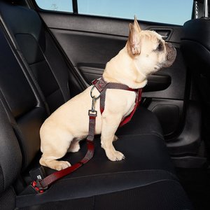 HDP Car Dog Harness & Safety Seat Belt Travel Gear, Red, Small 