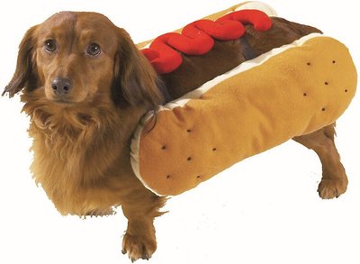 Casual Canine Hot Diggity Ketchup Dog Costume, slide 1 of 1