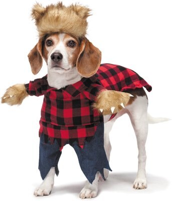 Zack & Zoey Werewolf Dog Costume, slide 1 of 1