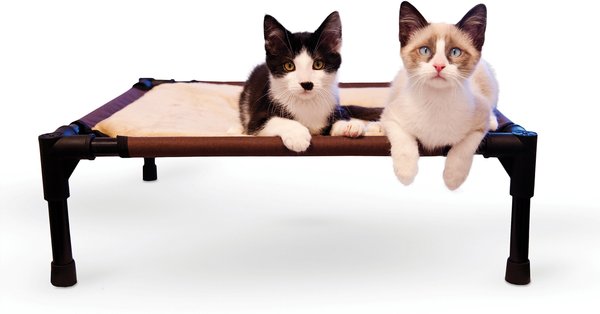 K&H Pet Products Comfy Pet Cot Elevated Pet Bed, Chocolate/Tan, Small slide 1 of 10