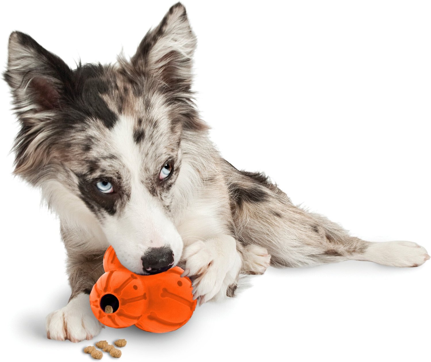 PetSafe Sportsmen Barnacle Dog Toy, Medium