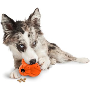 PetSafe Sportsmen Barnacle Treat Dispenser Dog Toy, Medium