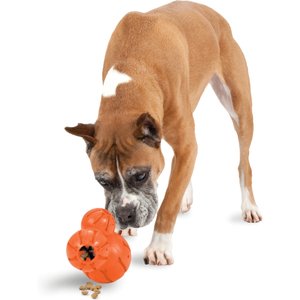 PetSafe Sportsmen Barnacle Treat Dispenser Dog Toy, Large