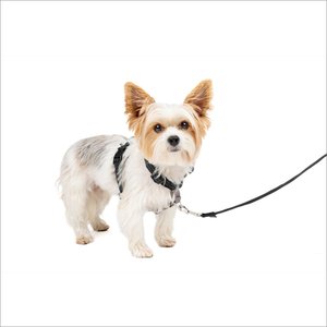 PetSafe 3 in 1 Reflective Dog Harness, Black, X-Small: 13 to 19-in chest