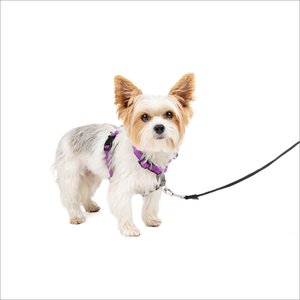 PetSafe 3 in 1 Reflective Dog Harness, Plum, X-Small: 13 to 19-in chest