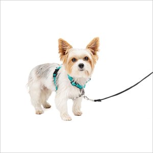PetSafe 3 in 1 Reflective Dog Harness, Teal, X-Small: 13 to 19-in chest