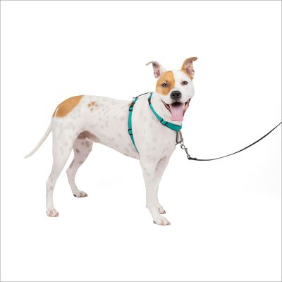 PetSafe 3 in 1 Reflective Dog Harness, slide 1 of 1