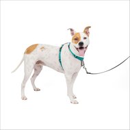 PetSafe 3 in 1 Reflective Dog Harness