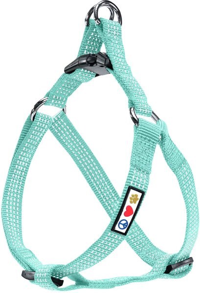 Pawtitas Nylon Reflective Step In Back Clip Dog Harness, Teal, X-Small: 11 to 15-in chest slide 1 of 8