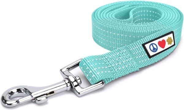 Pawtitas Nylon Reflective Dog Leash, Teal, X-Small/Small: 6-ft long, 5/8-in wide slide 1 of 8