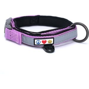 Pawtitas Soft Adjustable Reflective Padded Dog Collar, Purple Orchid, XX-Small: 7 to 11-in neck, 5/8-in wide