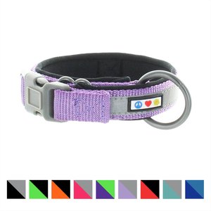 Pawtitas Soft Adjustable Reflective Padded Dog Collar, Purple Orchid, X-Small: 9 to 11-in neck, 5/8-in wide