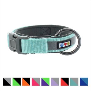 Pawtitas Soft Adjustable Reflective Padded Dog Collar, Teal, X-Small: 9 to 11-in neck, 5/8-in wide