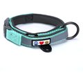 Pawtitas Soft Adjustable Reflective Padded Dog Collar, Teal, Small: 11 to 15-in neck, 5/8-in wide