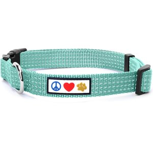 Pawtitas Nylon Reflective Dog Collar, Teal, X-Small: 8 to 13-in neck, 3/8-in wide