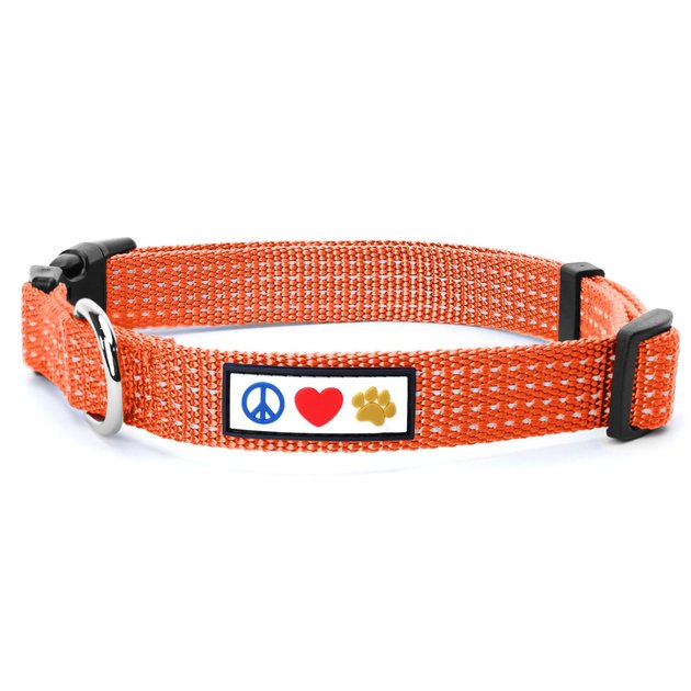 Pawtitas Reflective Dog Collar, Orange, Small - Chewy.com