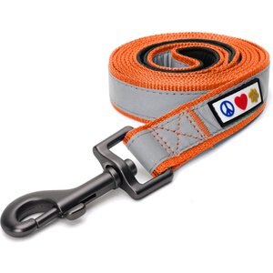 Pawtitas Nylon Reflective Padded Dog Leash, Orange, X-Small/Small: 6-ft long, 5/8-in wide