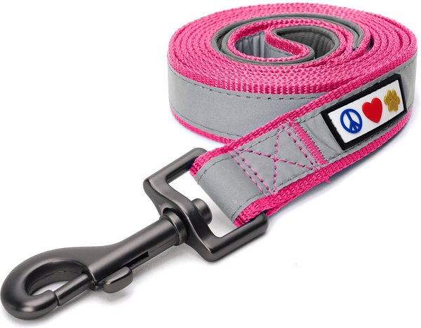 Pawtitas Nylon Reflective Padded Dog Leash, Pink, X-Small/Small: 6-ft long, 5/8-in wide slide 1 of 7