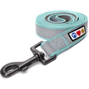 Pawtitas Nylon Reflective Padded Dog Leash, Teal, X-Small/Small: 6-ft long, 5/8-in wide