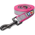 Pawtitas Nylon Reflective Padded Dog Leash, Pink, Medium/Large: 6-ft long, 1-in wide