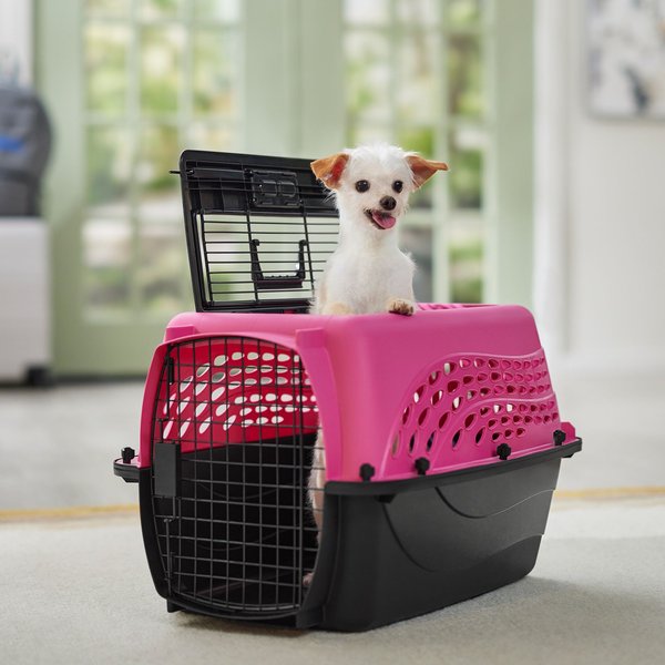 Frisco Two Door Top Load Plastic Dog & Cat Kennel, Pink, 24-in slide 1 of 8