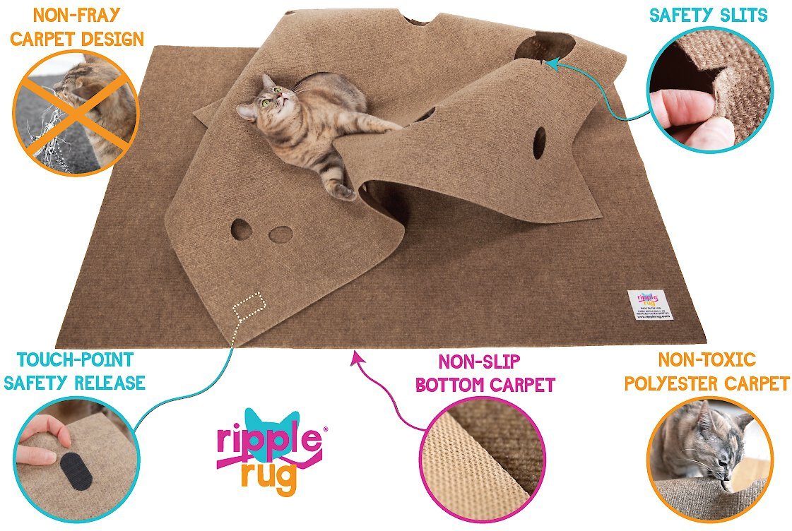 cat rug toy