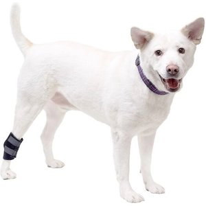 HandicappedPets Rear Leg Dog Hock Wrap, Small