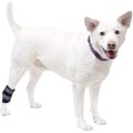 HandicappedPets Rear Leg Dog Hock Wrap, Medium