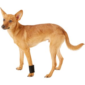 HandicappedPets Dog Wrist Wrap, Small
