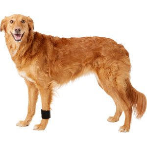 HandicappedPets Dog Wrist Wrap, Medium
