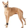 HandicappedPets Dog Wrist Wrap, Large